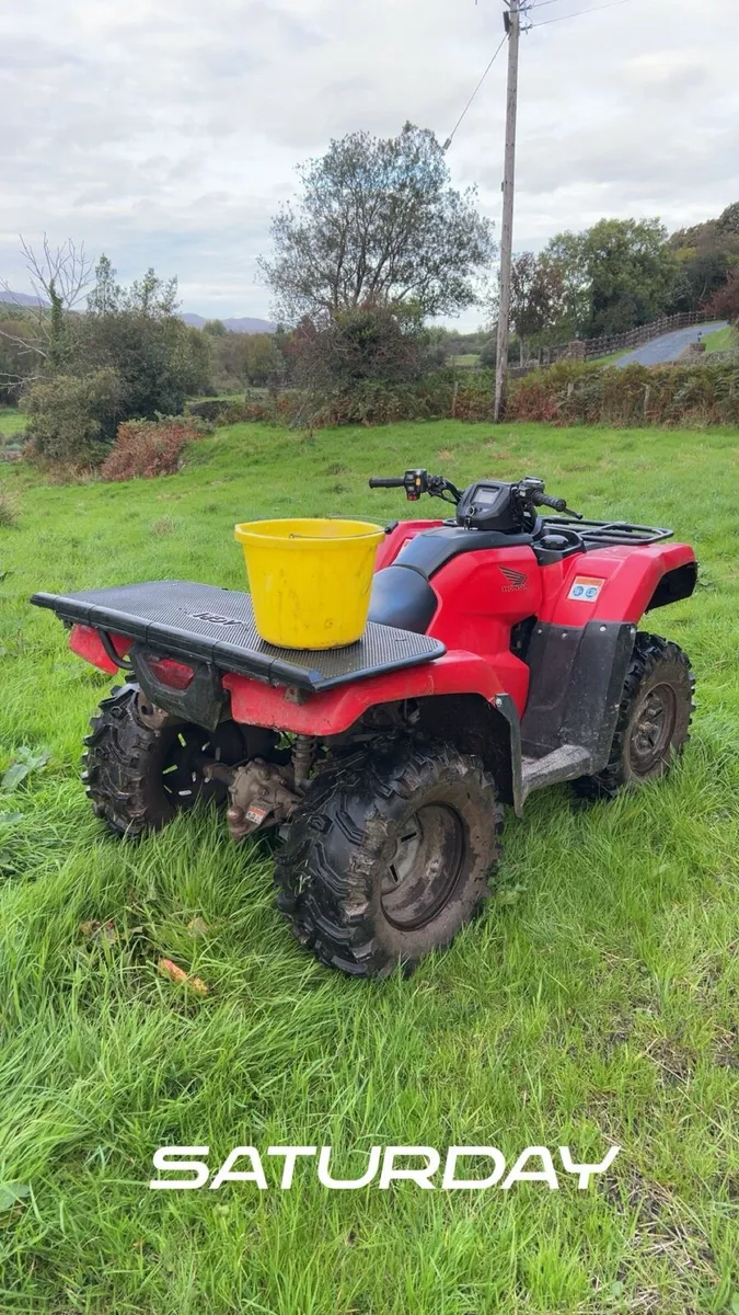 2019 Honda 420 - Image 4