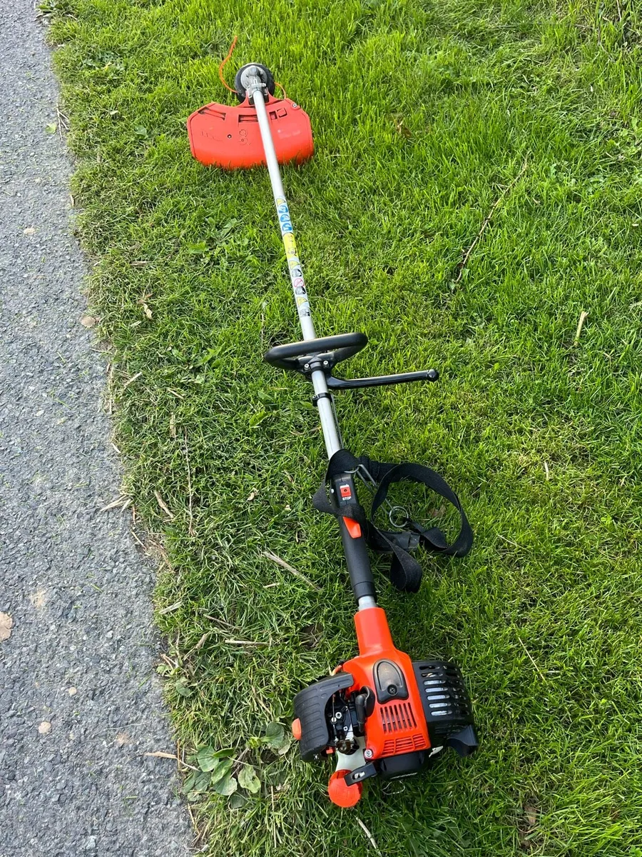Strimmer - Image 1