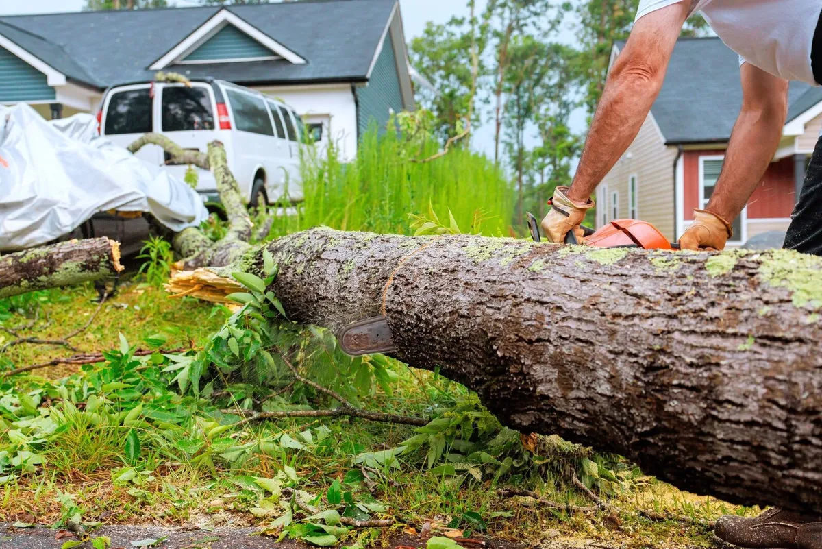Tree Cutting & Power Washing Services