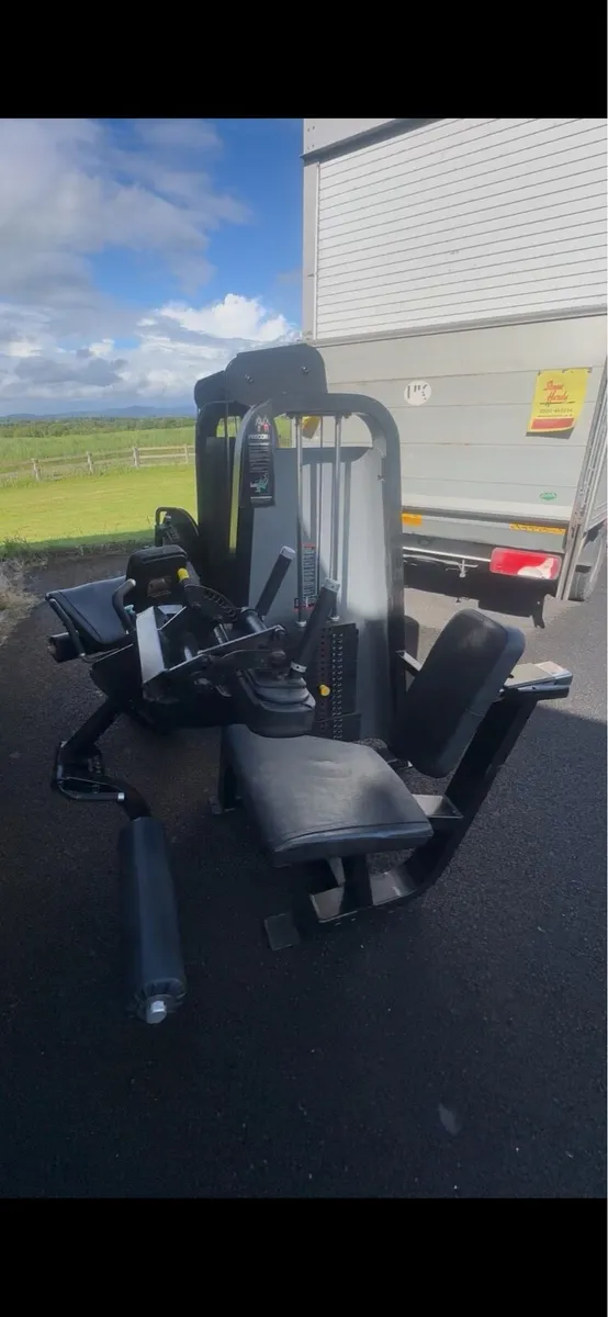 Icarian Seated Leg Curl