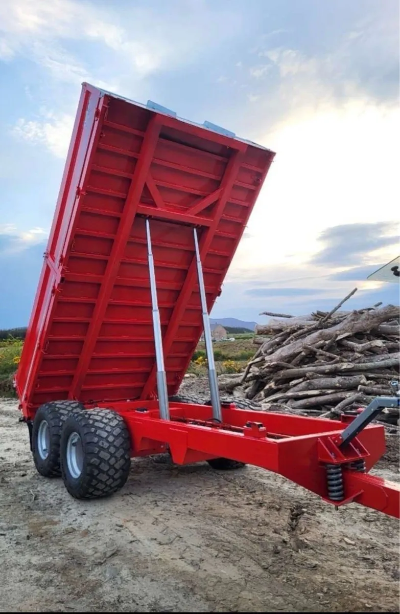 10 ton trailer - Image 4
