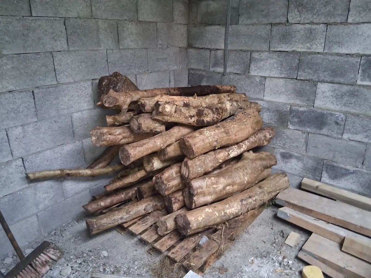 Wood holly