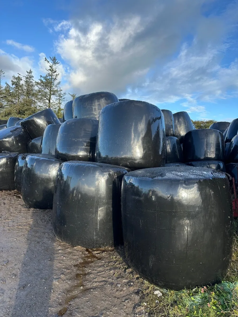 Silage