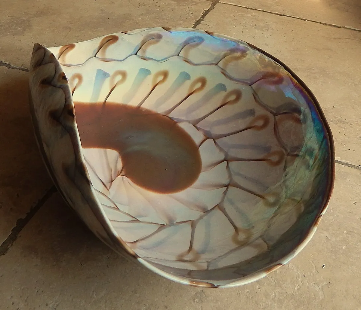 Large Folded Iridescent Glass Sea Shell Bowl - Image 4