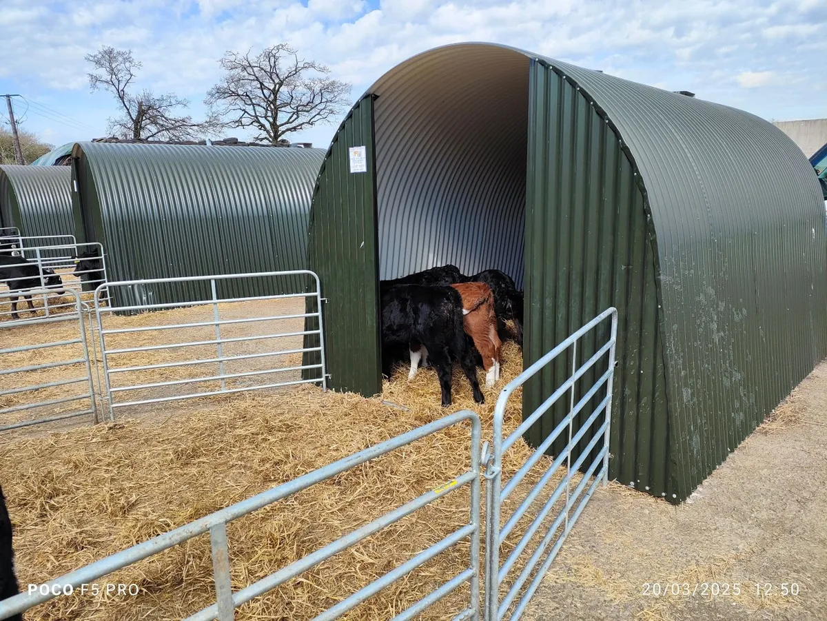 EXTRA LARGE CALF DONKEY PONY LlAMA  SHED SHELTER - Image 4