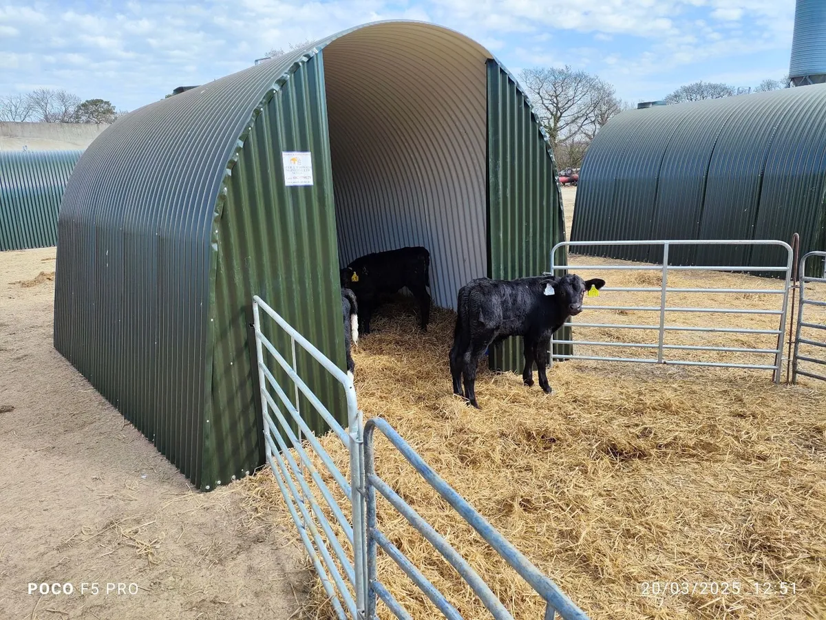 EXTRA LARGE CALF DONKEY PONY LlAMA  SHED SHELTER - Image 1