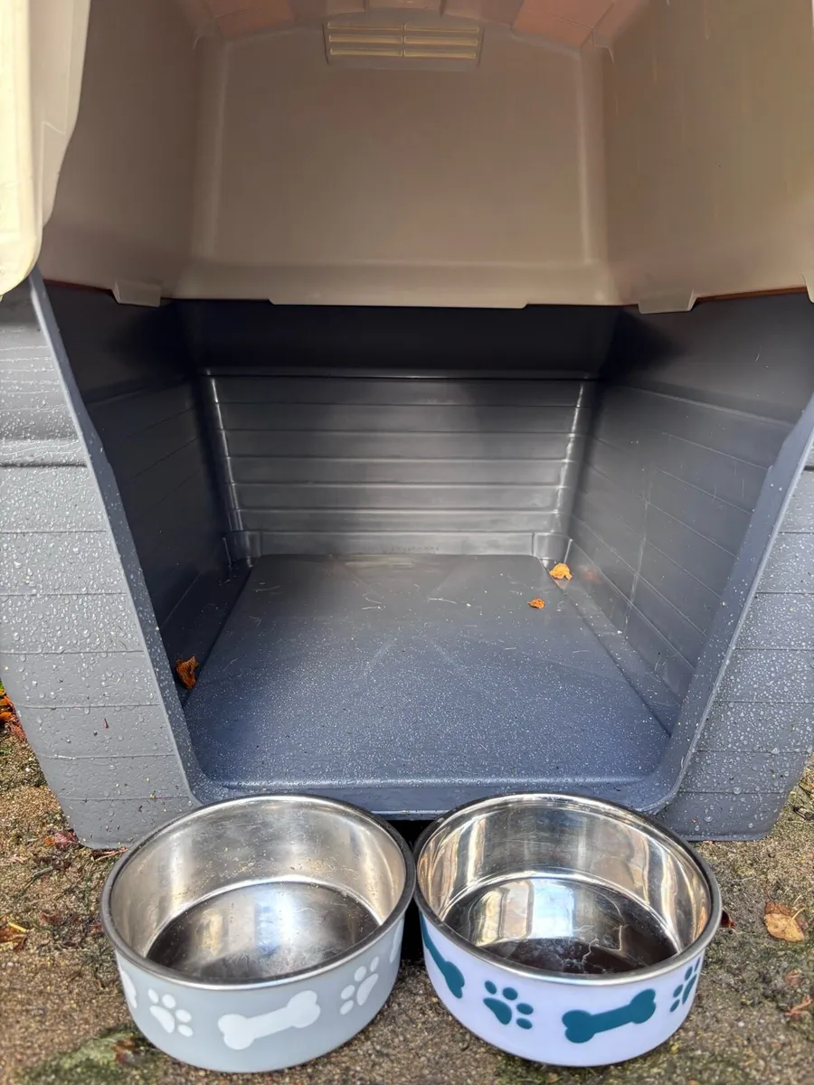 Dog Kennel - Image 4