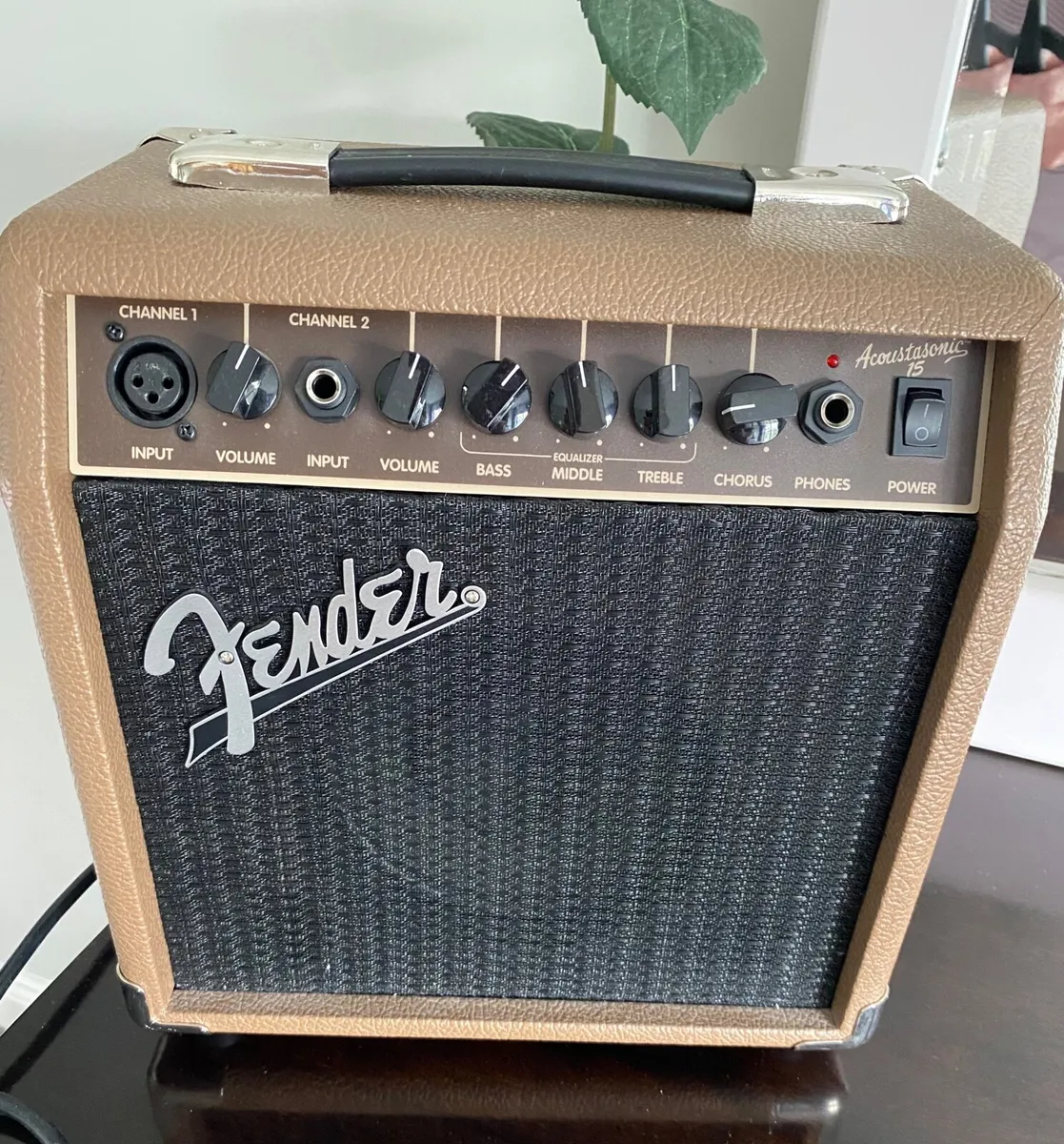 Acoustic guitar amp - Image 1