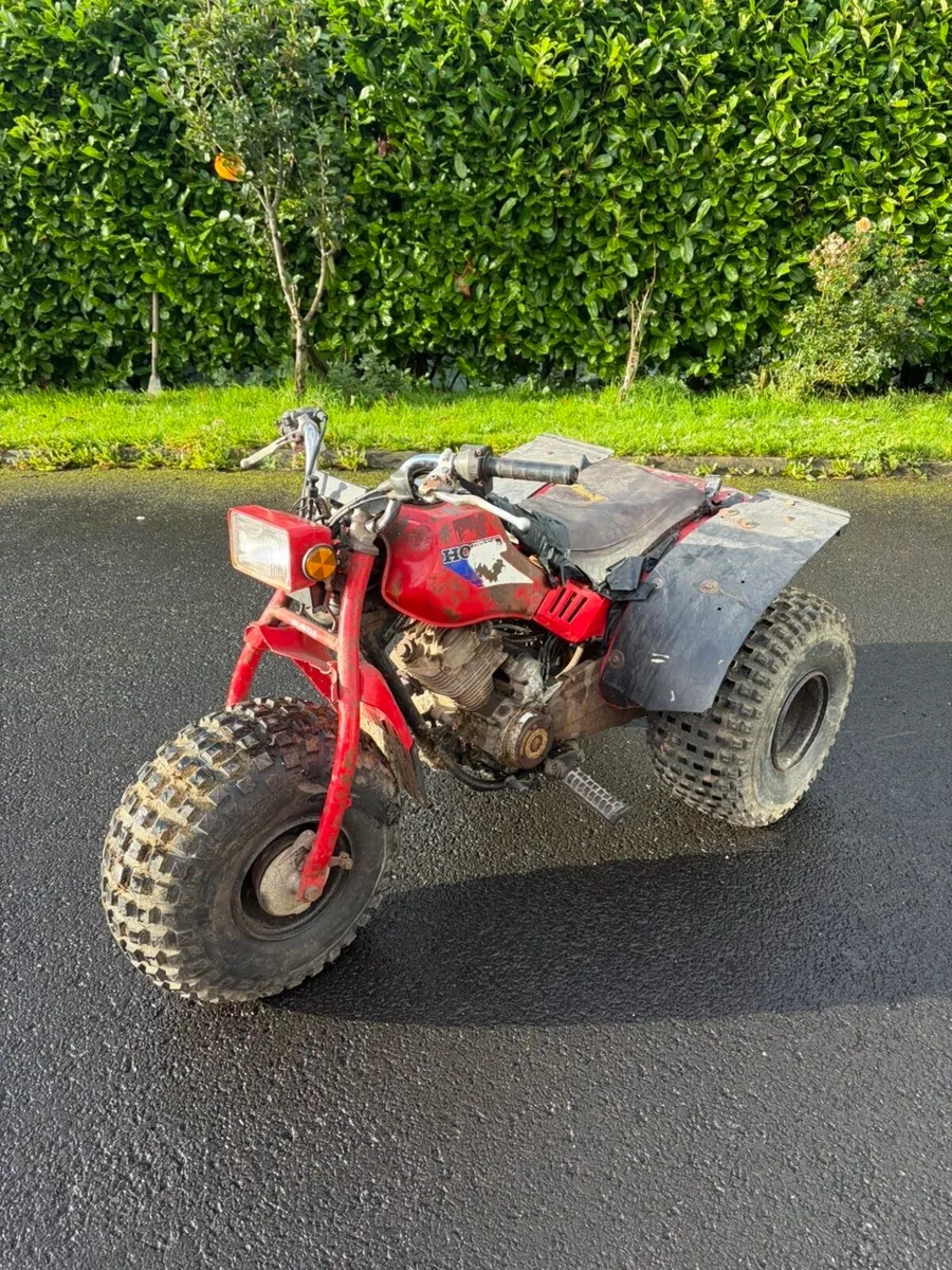1986 Honda 125M ATC / trike - Image 2
