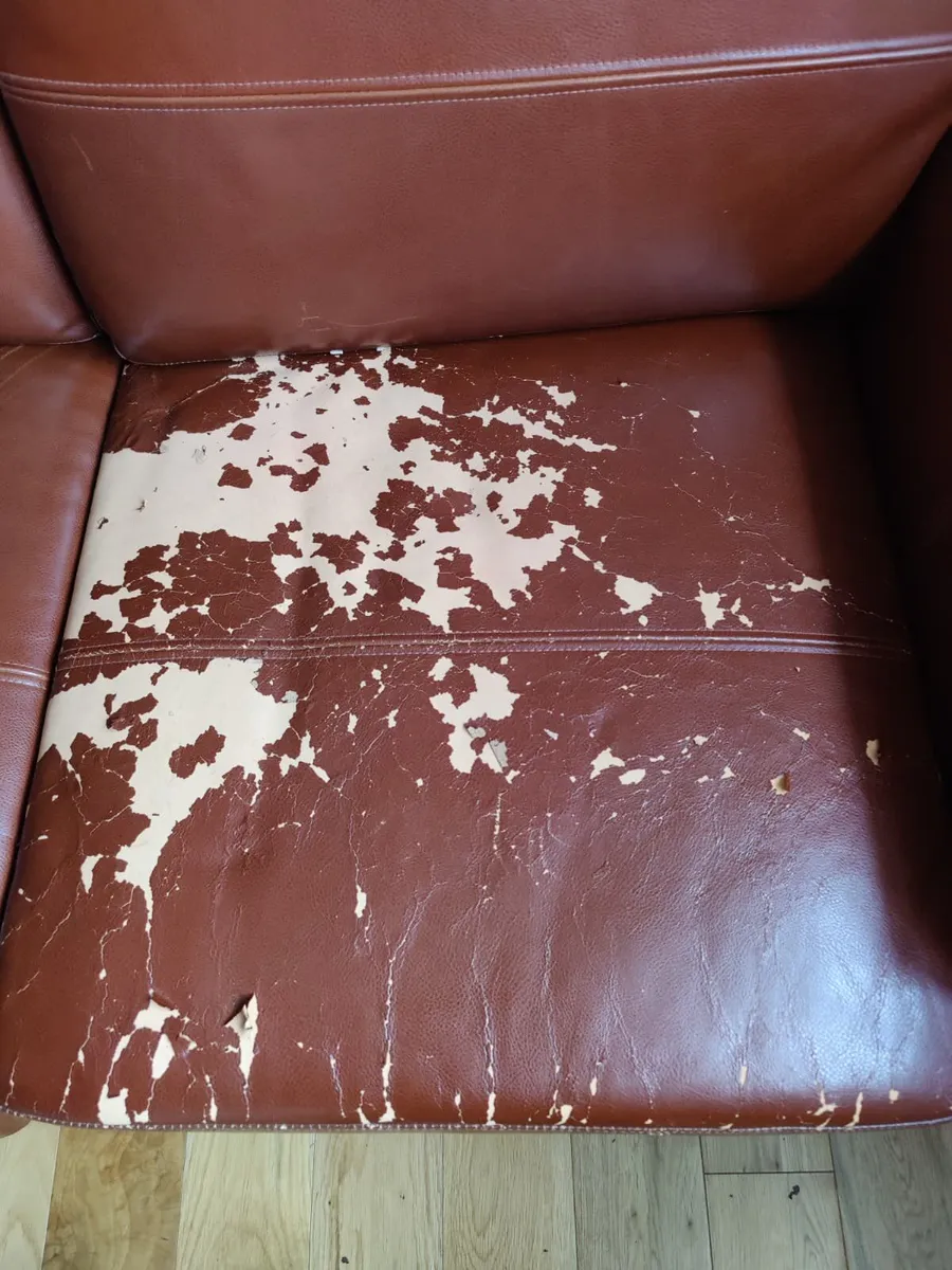 Sofa Bed - Image 3