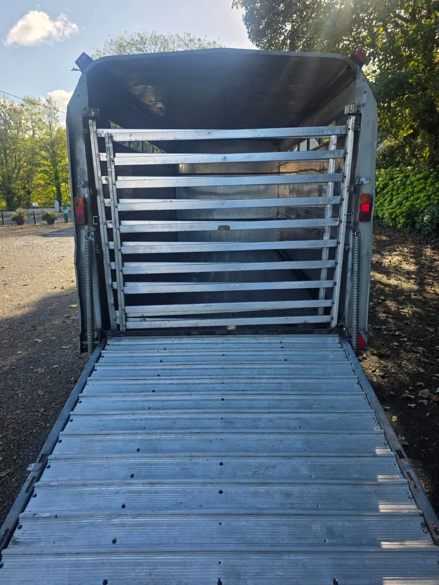 14ft ifor Williams cattle trailer - Image 4