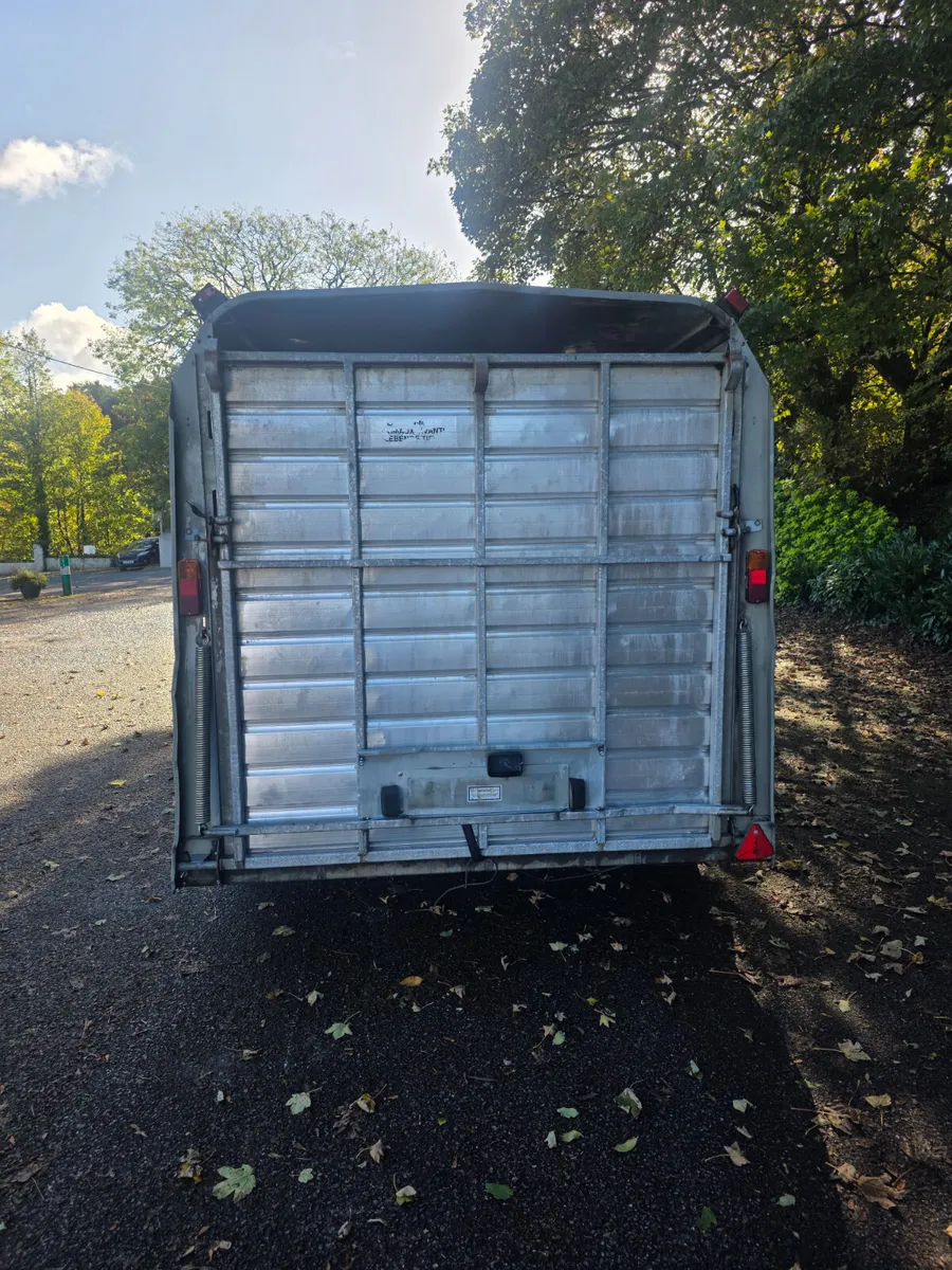 14ft ifor Williams cattle trailer - Image 3