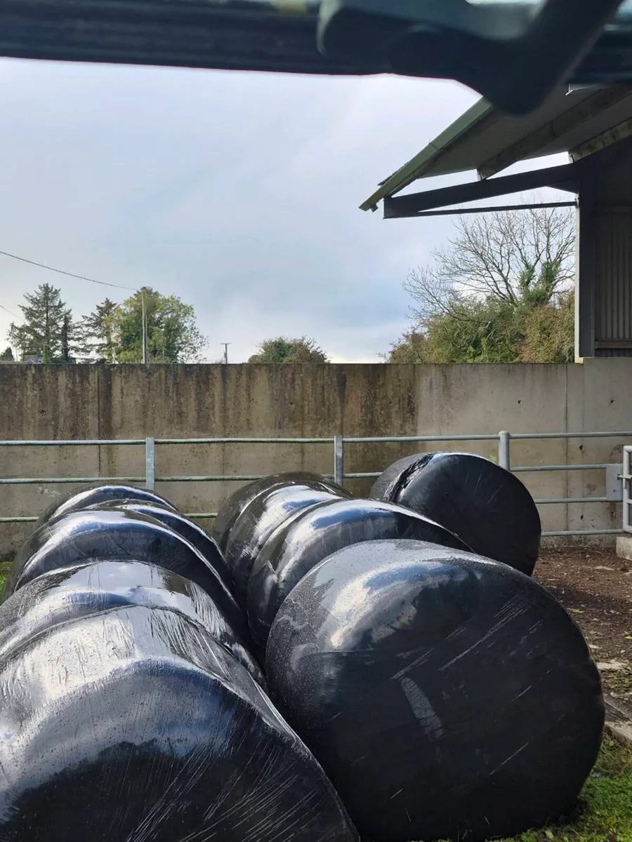 Silage from 2025 For Sale