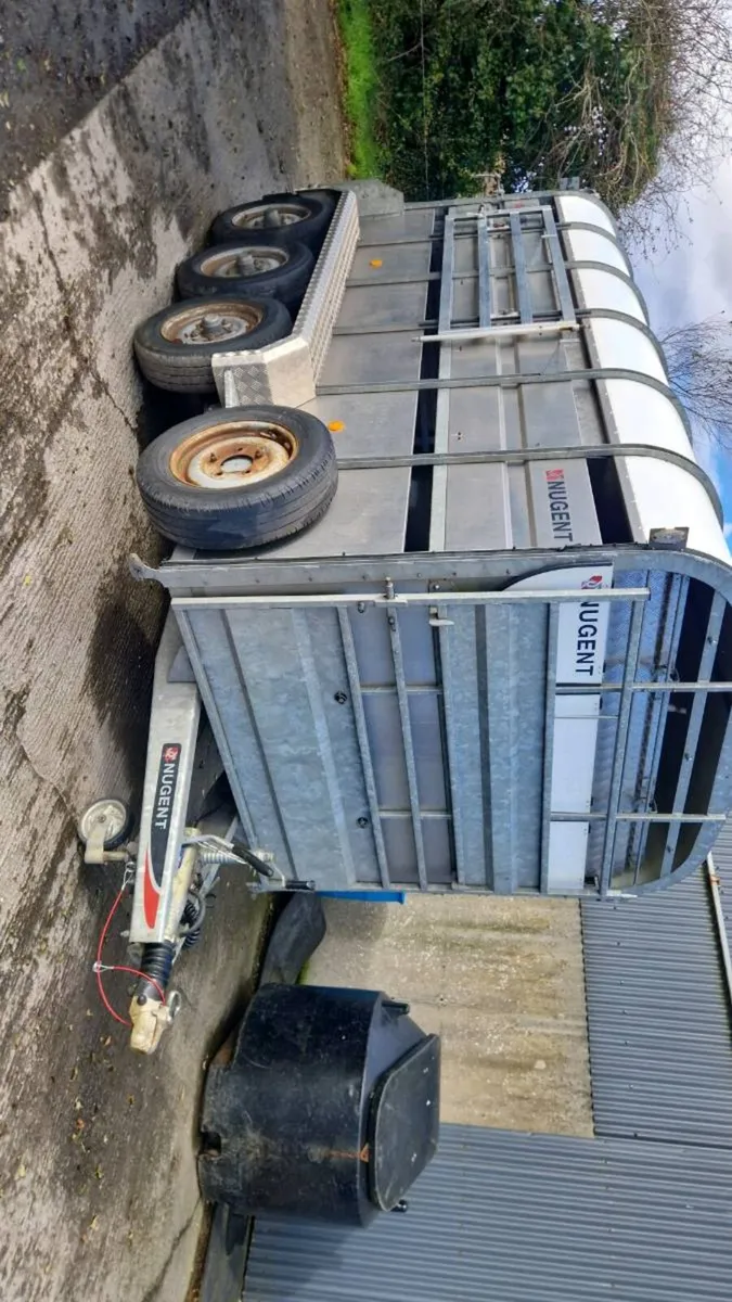 Nugent livestock trailer 12ft - Image 2
