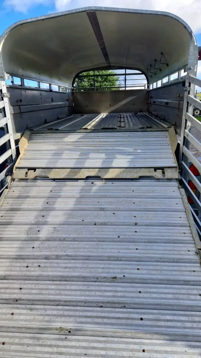 Nugent livestock trailer 12ft - Image 3