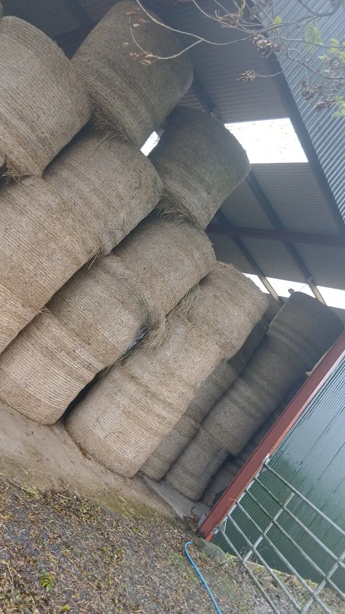 Haylage and hay - Image 2