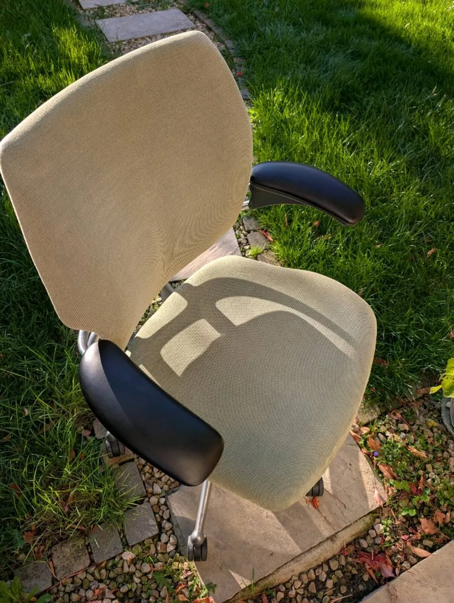 Ergonomic office chair - Image 1