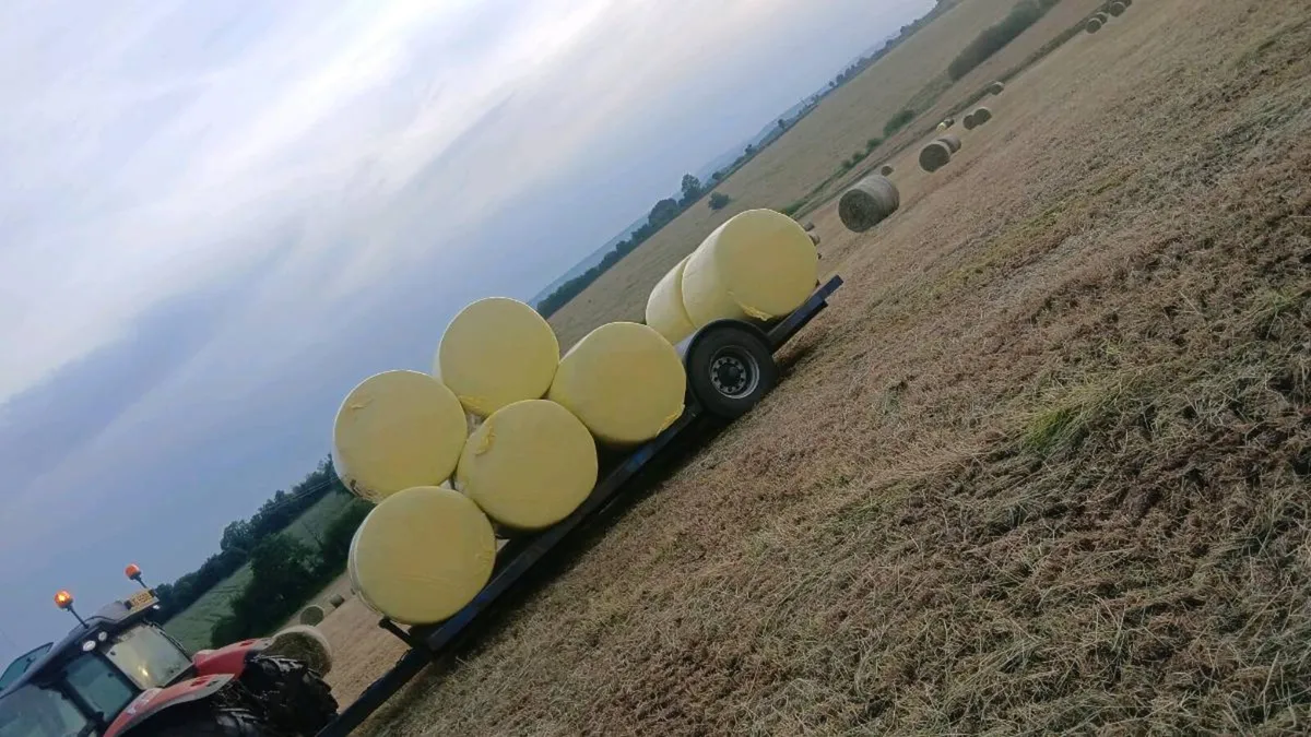 Haylage and hay - Image 3