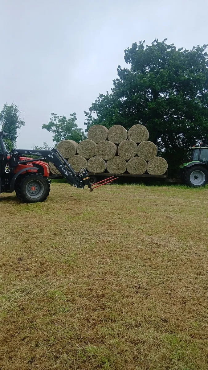 Haylage and hay - Image 4