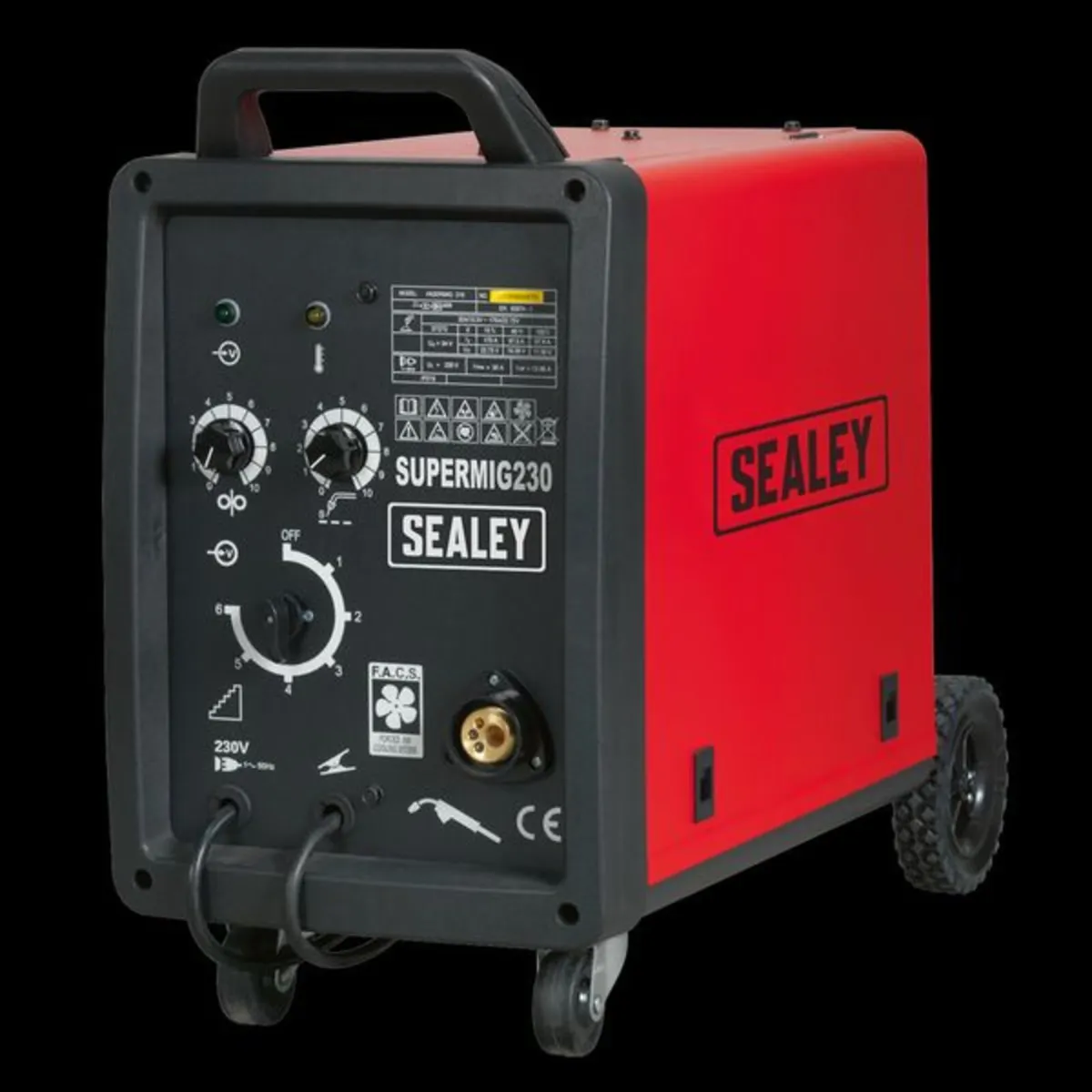 Professional Gas/Gasless MIG Welder with Binzel® E - Image 1