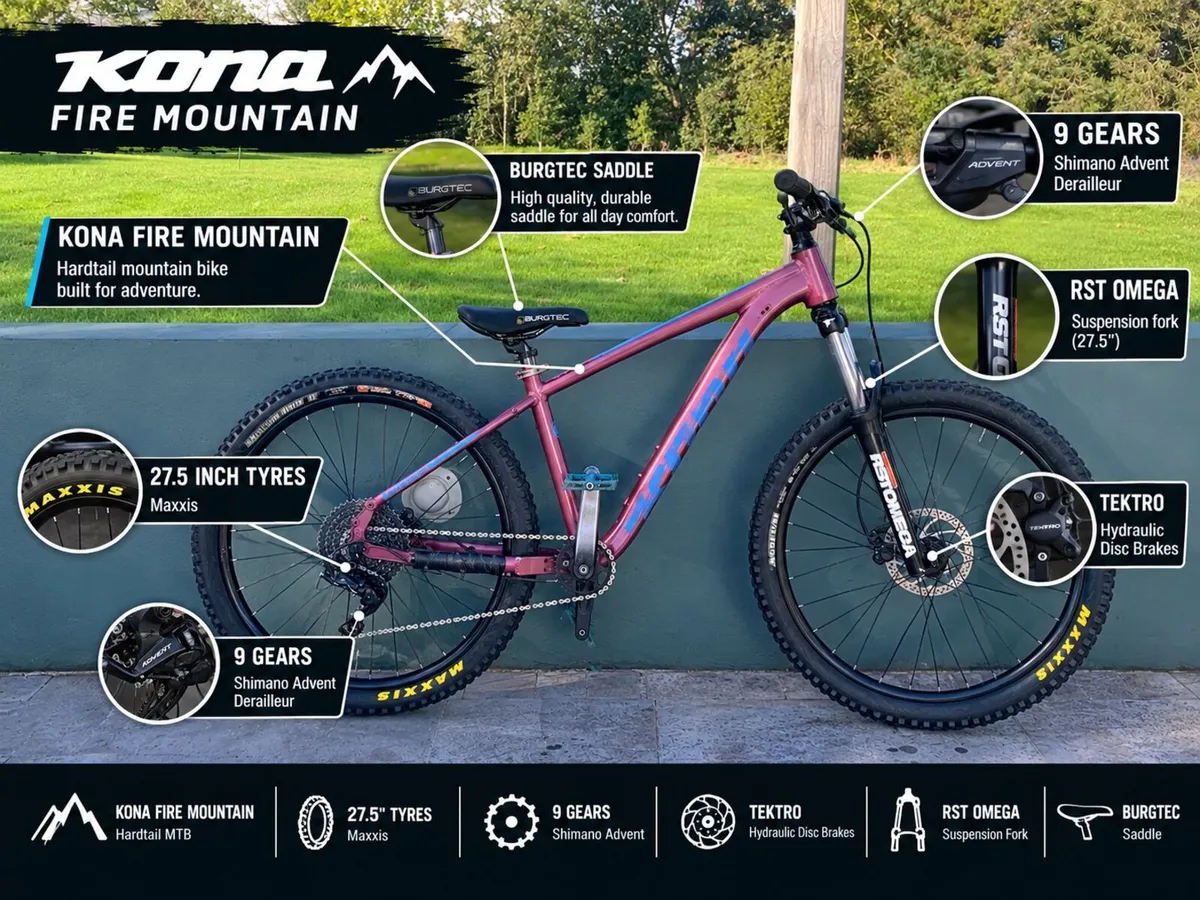 Mountain Bike - Image 1
