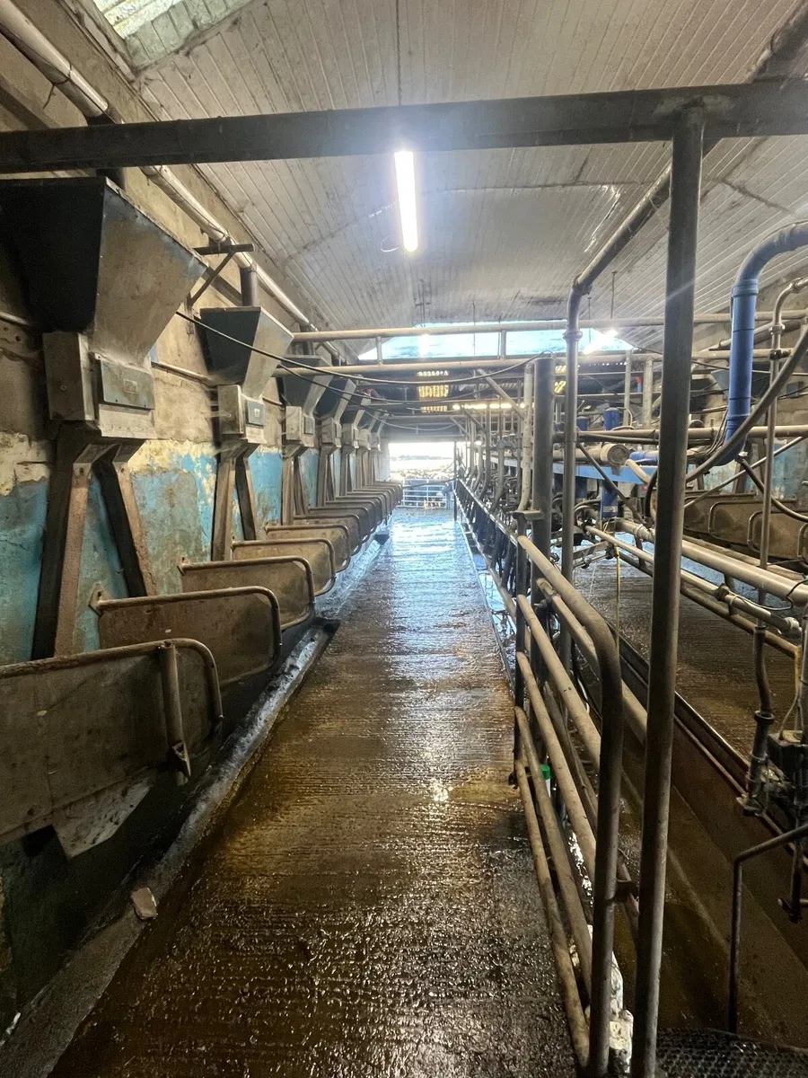 14 unit Delaval parlour dumpline + feeders - Image 1
