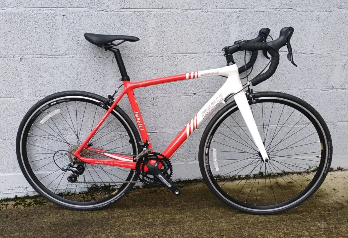 Emmelle Alpine Ltd Ed 53cm. As new. - Image 1