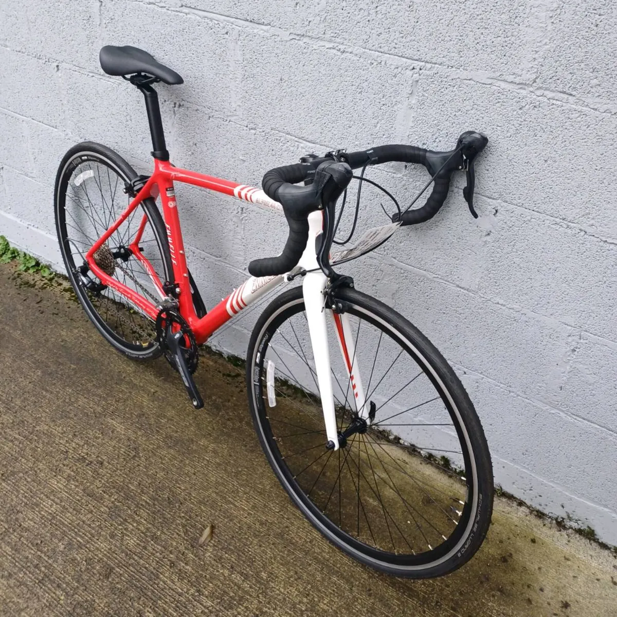 Emmelle Alpine Ltd Ed 53cm. As new. - Image 3