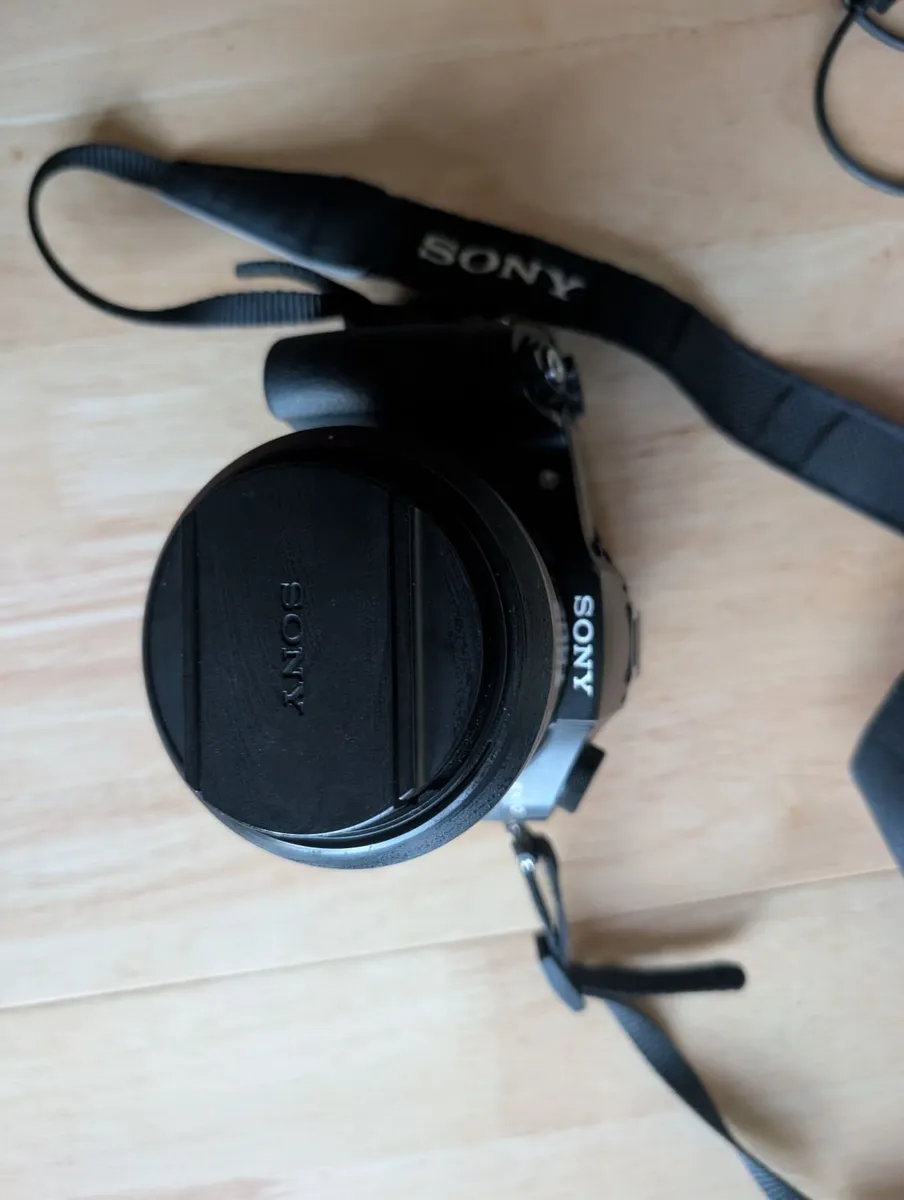 Sony DSC-Rx10 - Image 2