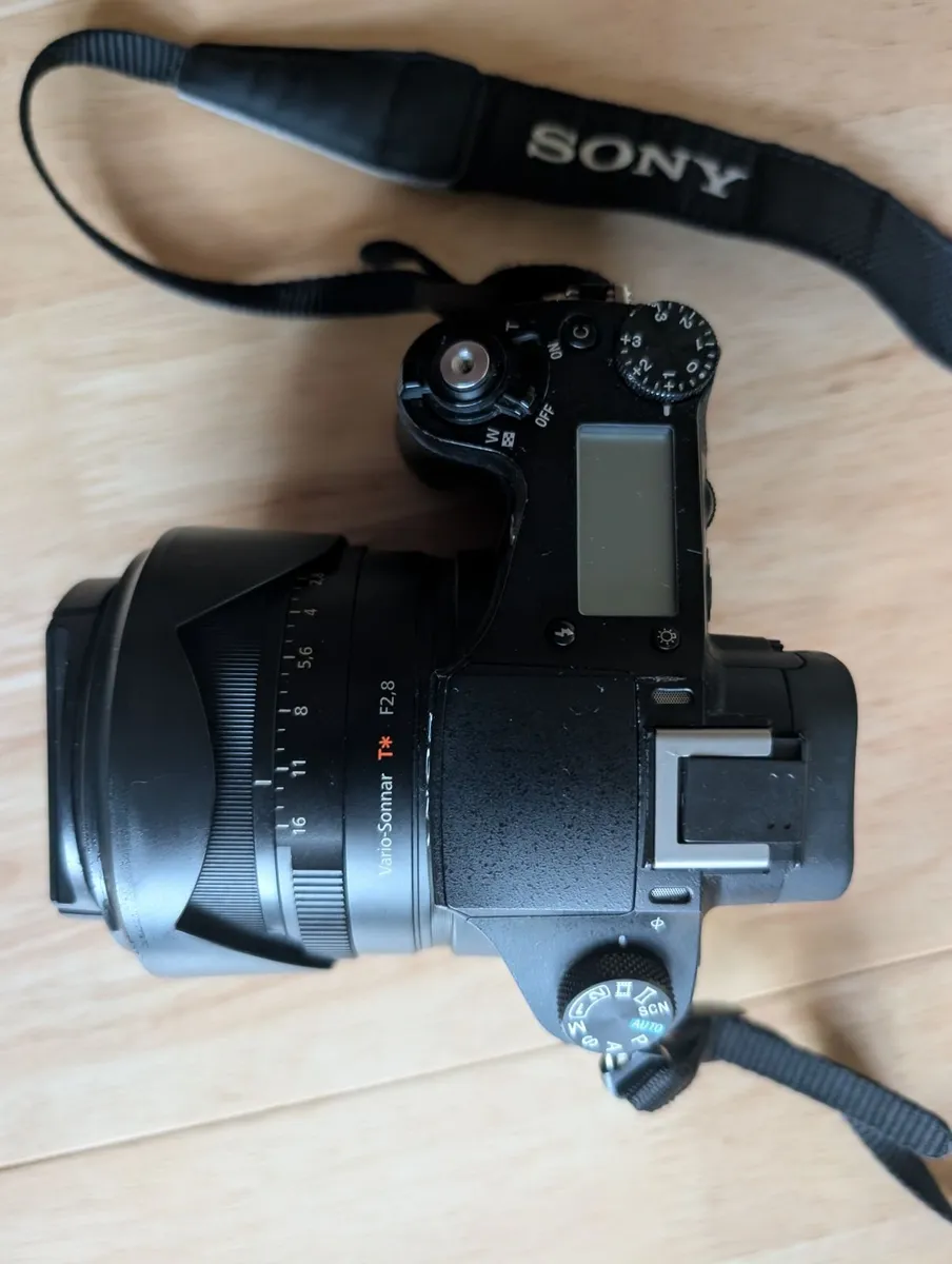 Sony DSC-Rx10 - Image 3