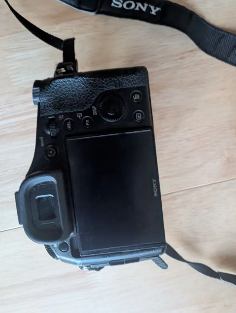 Sony DSC-Rx10 - Image 4