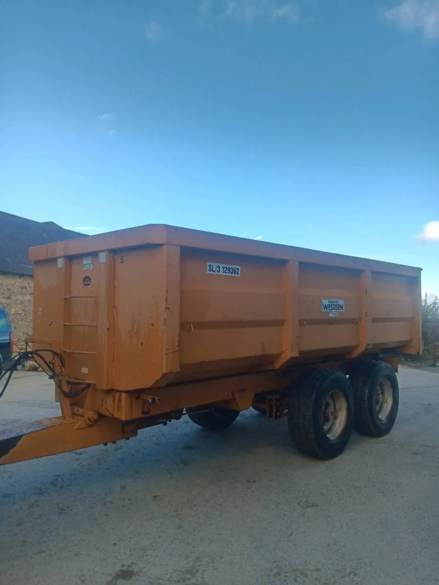 11 ton grain trailer - Image 1