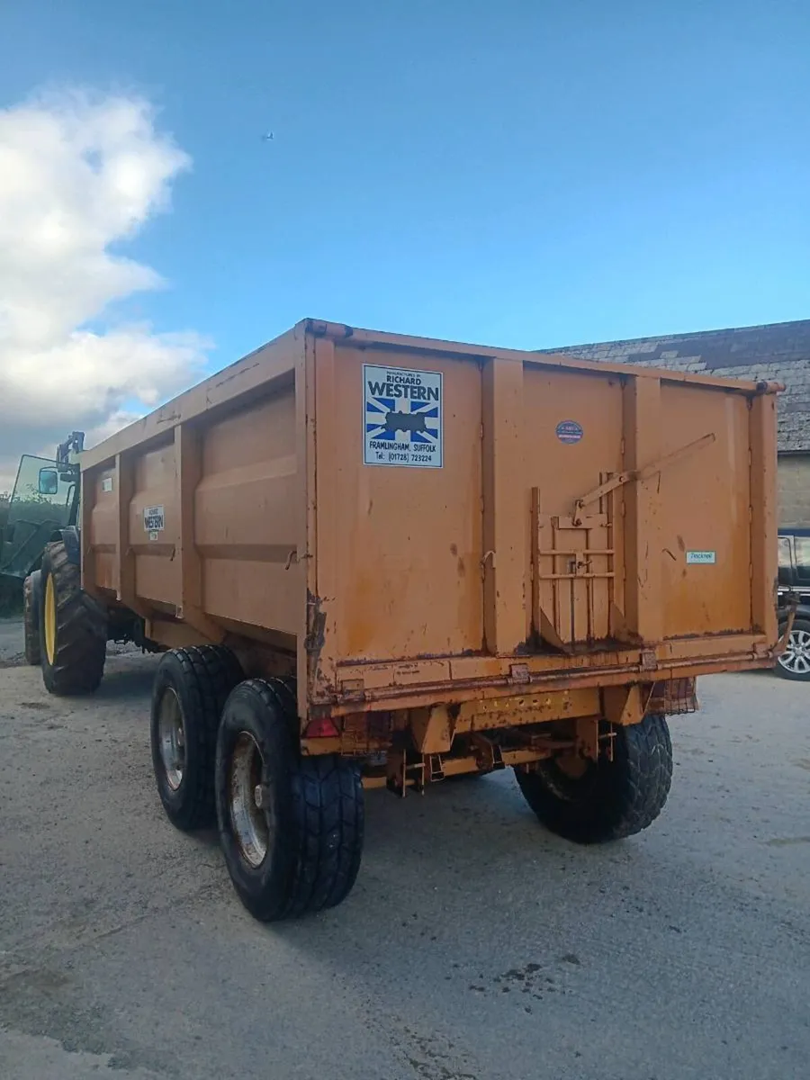 11 ton grain trailer - Image 2