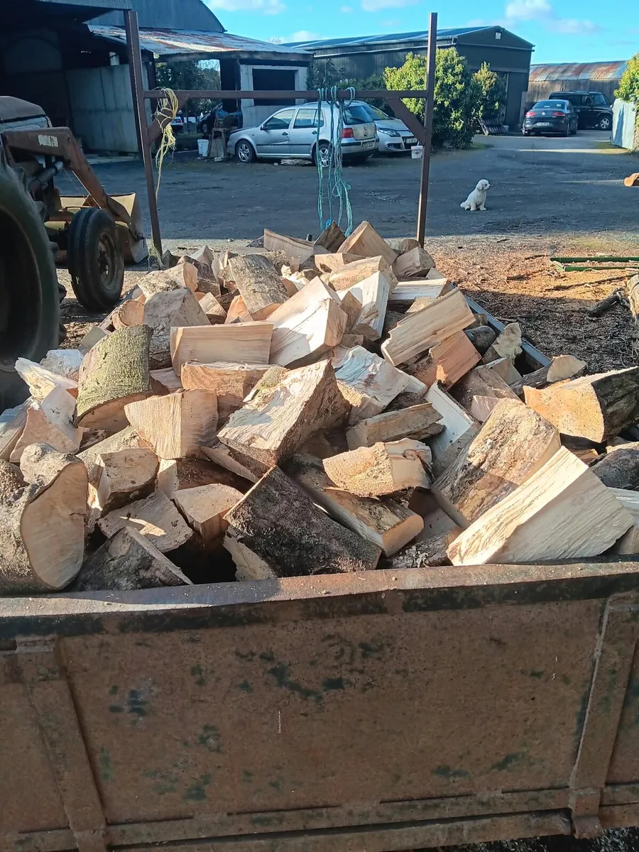Firewood - Image 1