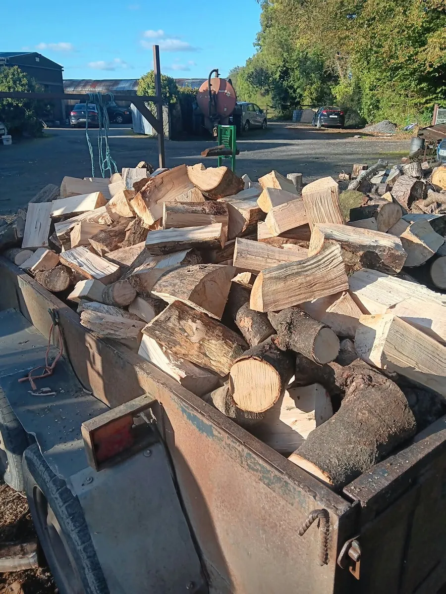 Firewood - Image 2