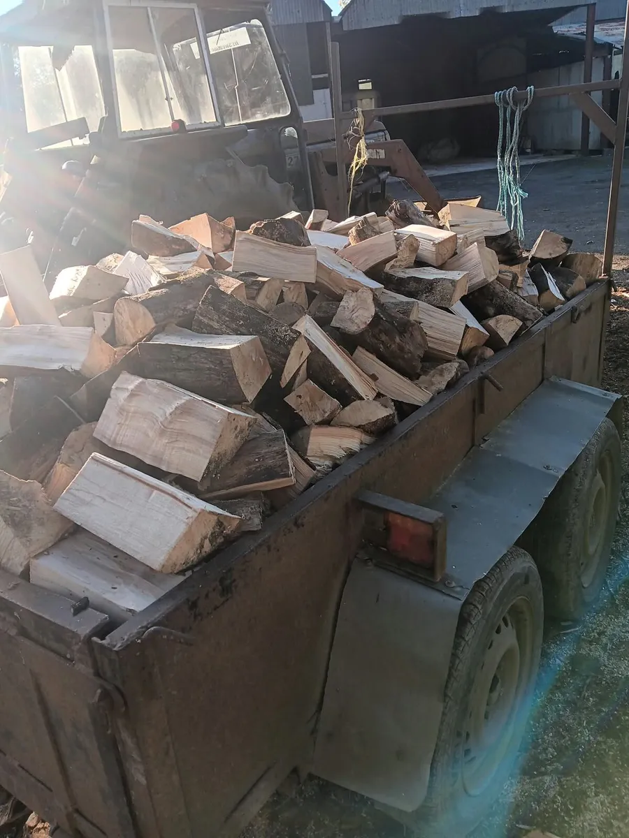 Firewood - Image 3