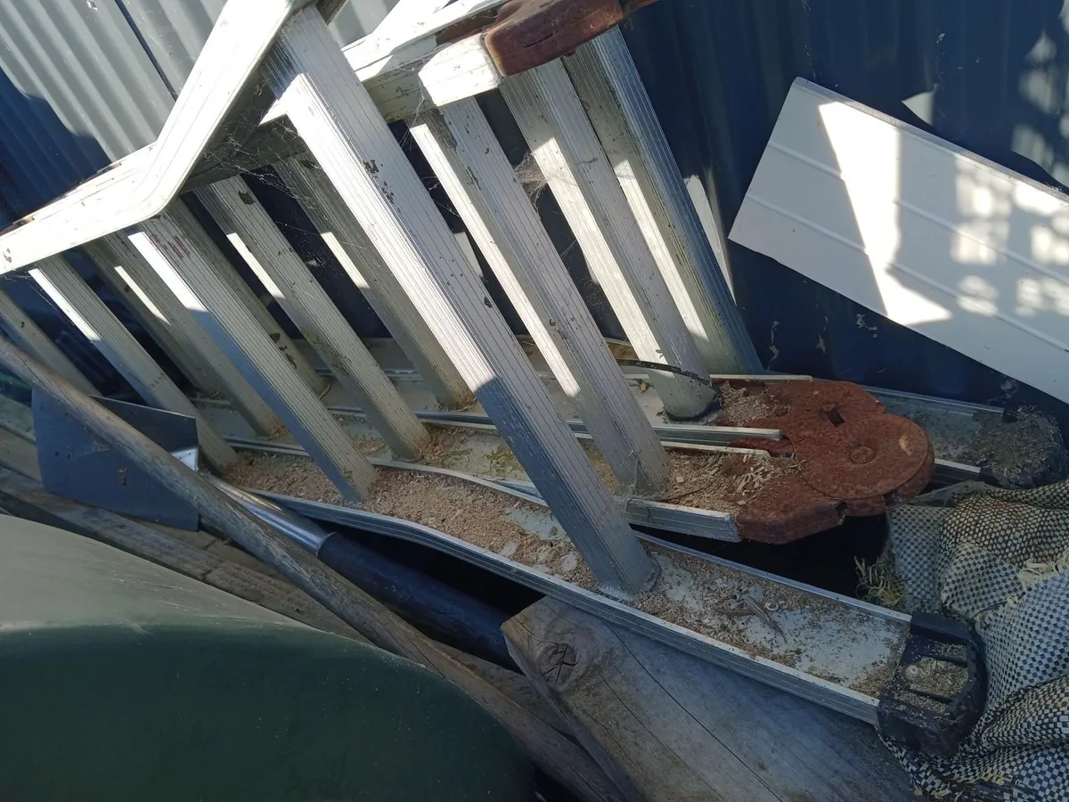 Folding ladder - Image 2