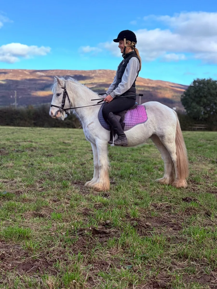 Perfect childs pony - Image 1