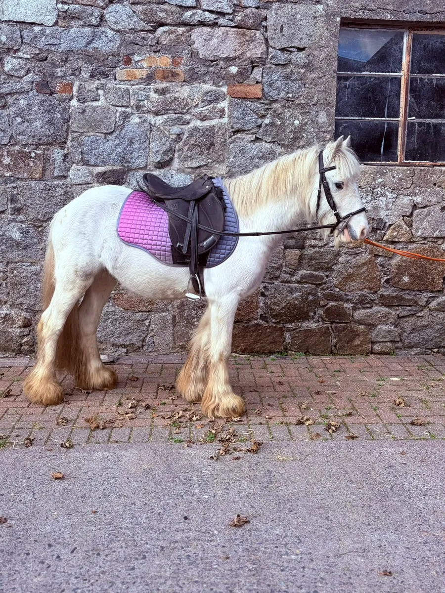 Perfect childs pony - Image 2