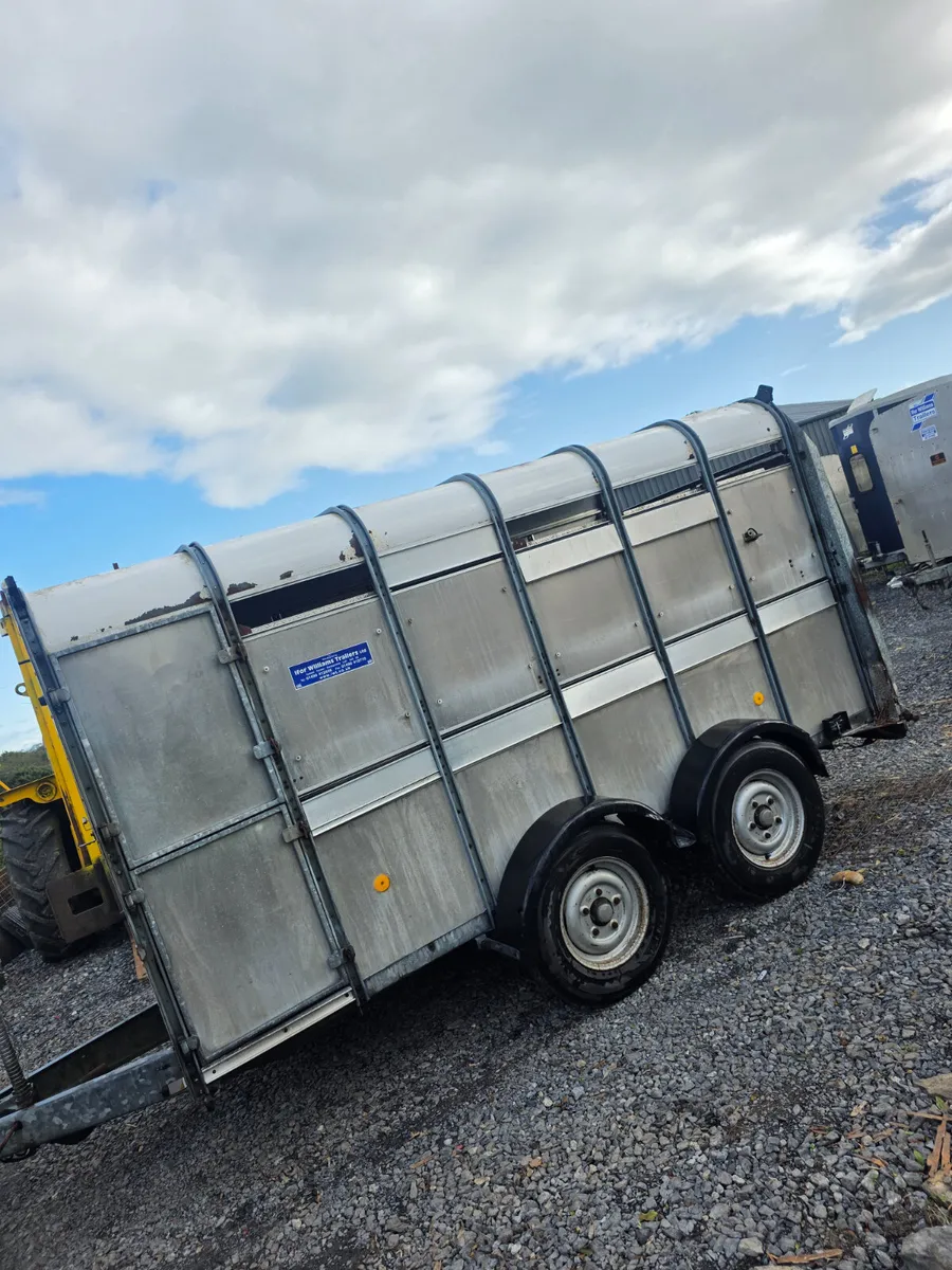 12ft ifor Williams livestock trailer - Image 2