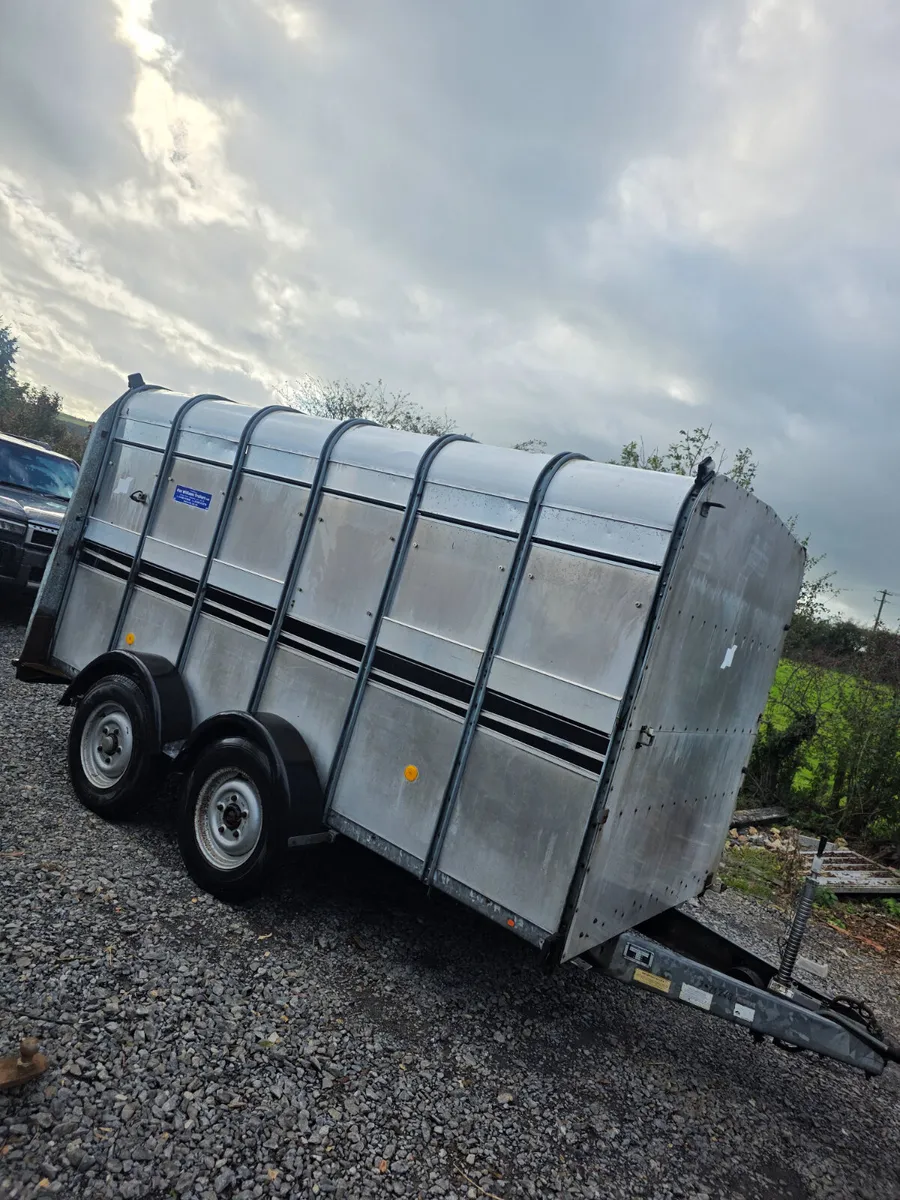 12ft ifor Williams livestock trailer - Image 1