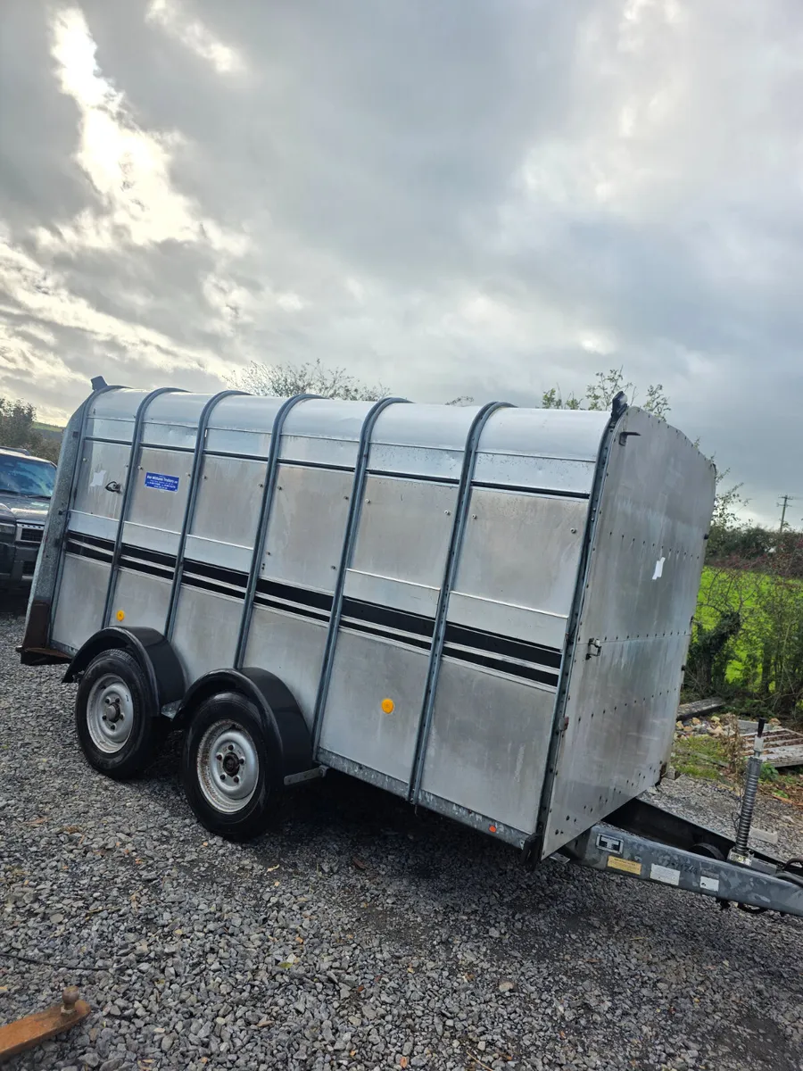 12ft ifor Williams livestock trailer - Image 3