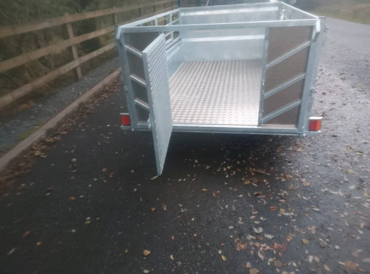 New sheep trailer - Image 2