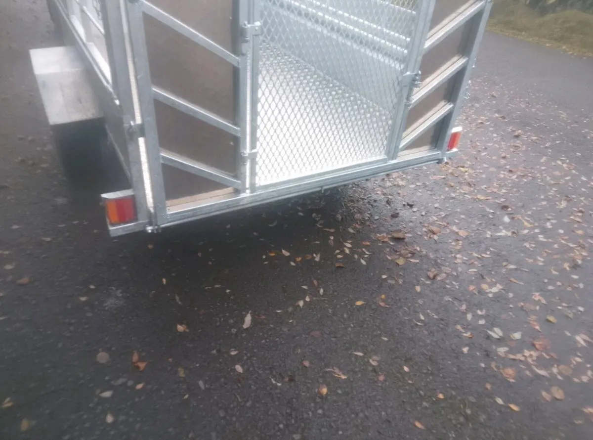 New sheep trailer - Image 4