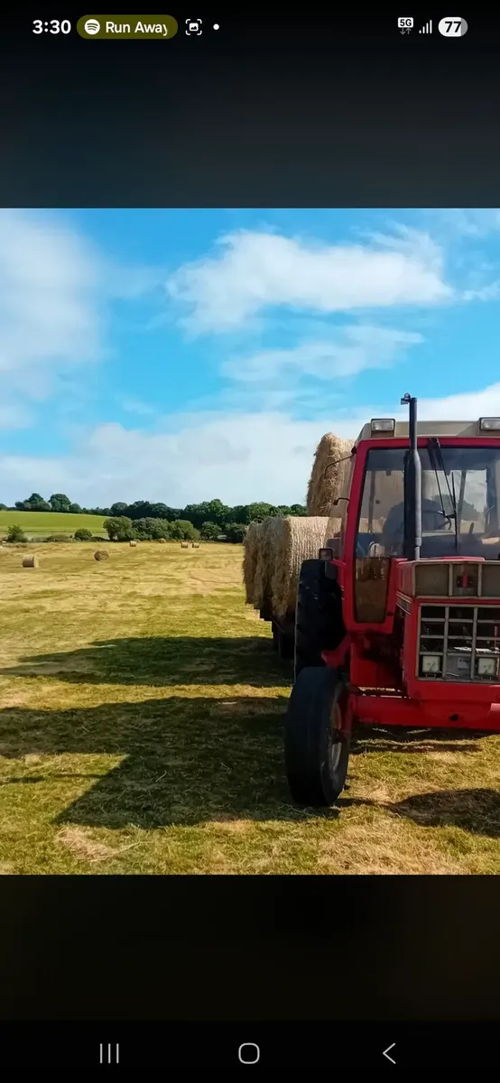 Hay for sale - Image 3