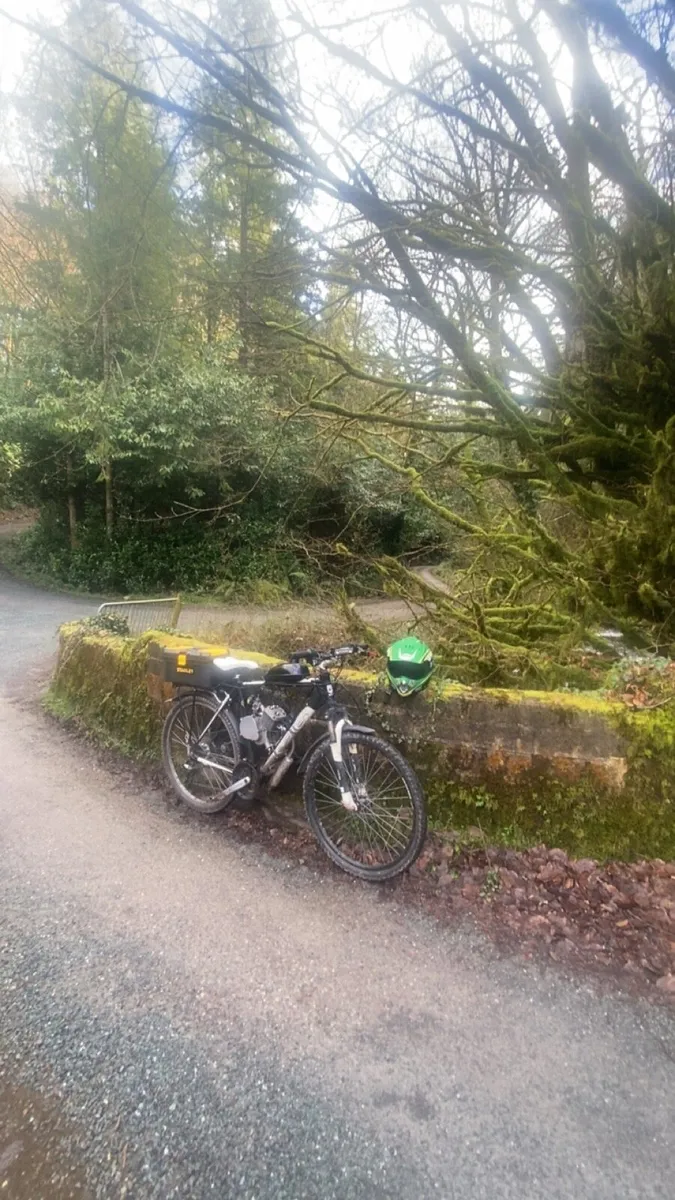 Engine bike - Image 1
