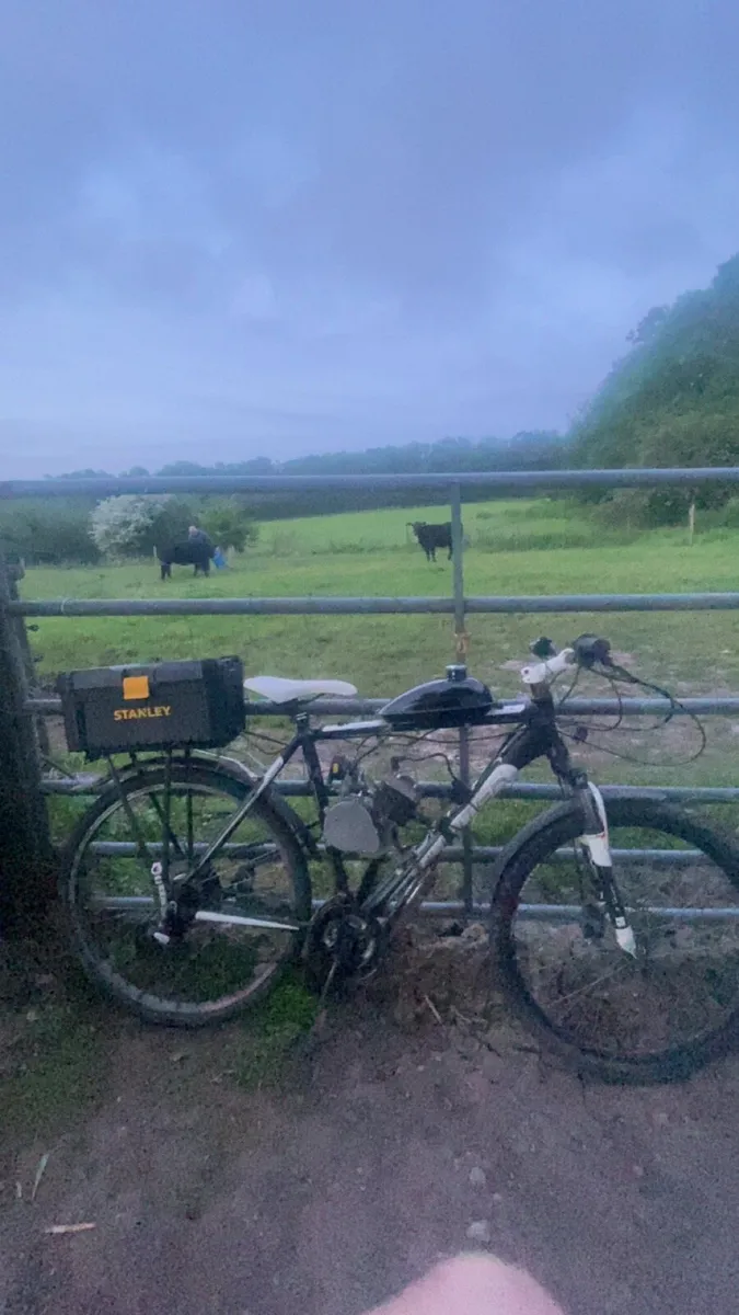 Engine bike - Image 2