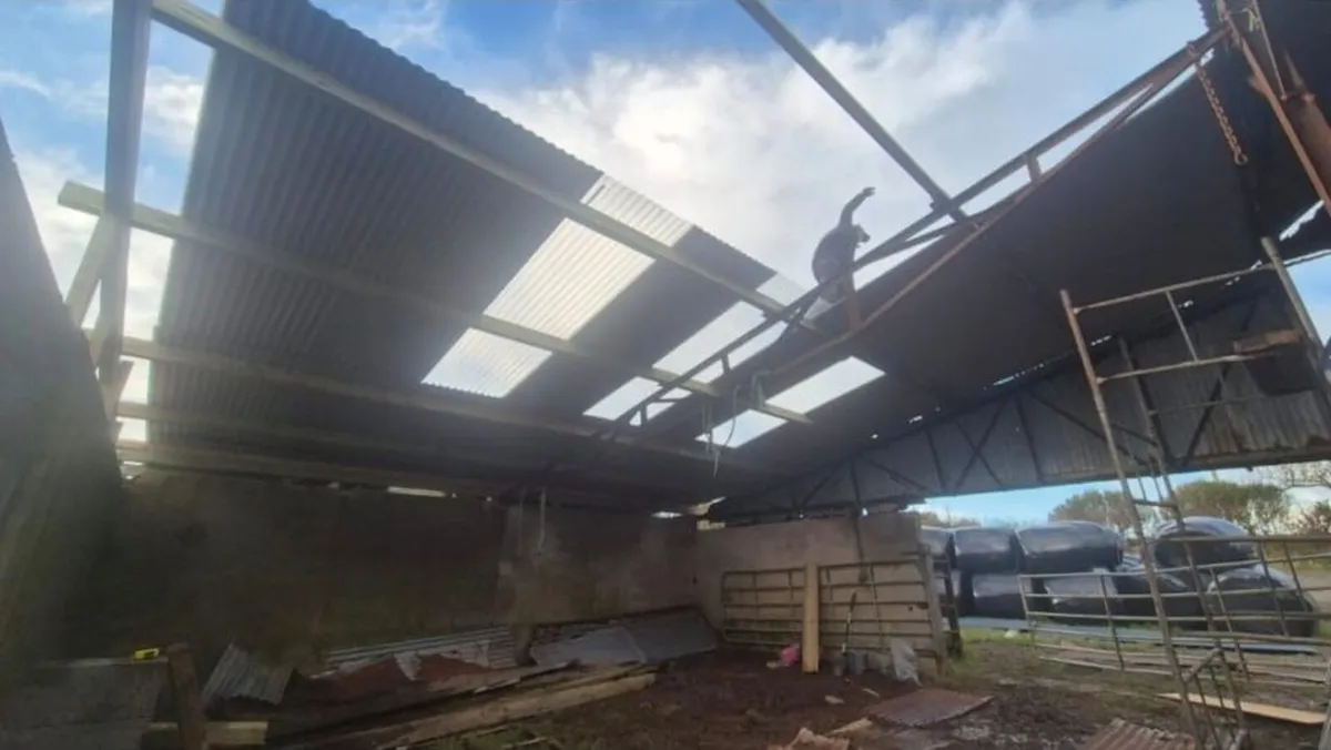 Farm Shed Repairs - Image 2