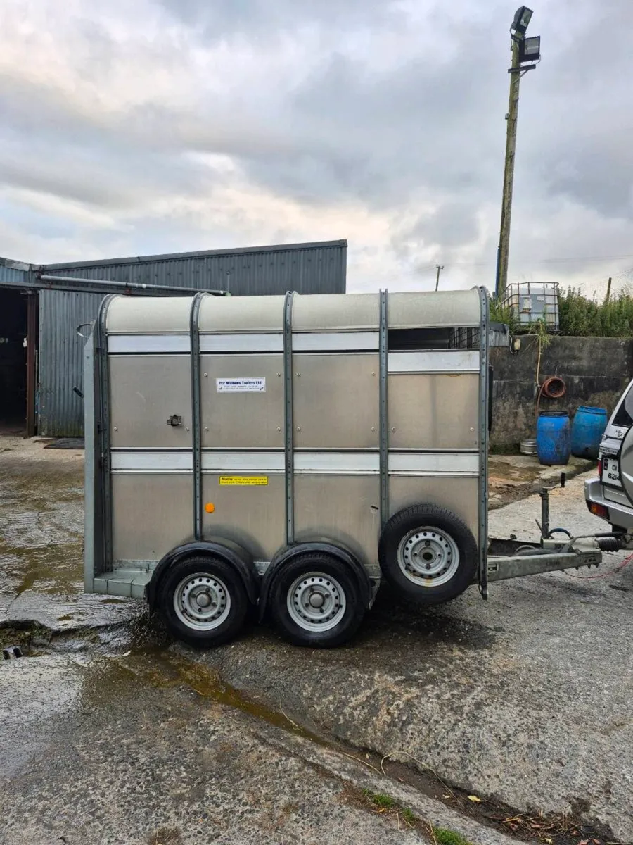 Ifor williams 8x5 - Image 1