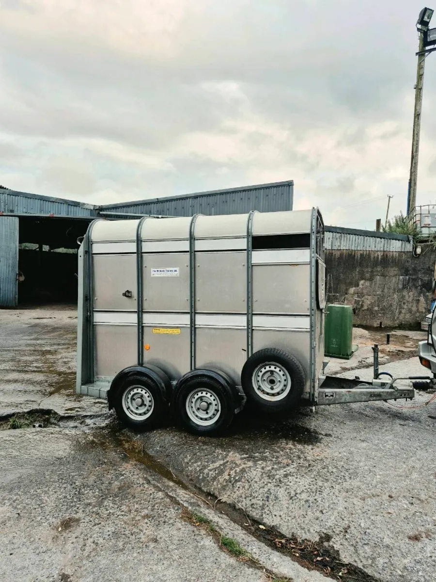 Ifor williams 8x5 - Image 3
